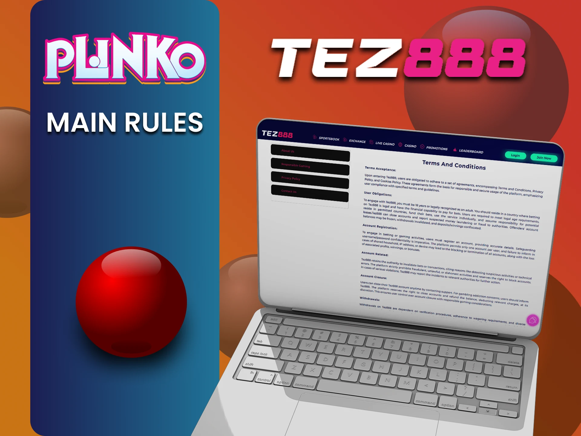 Tez888 वेबसाइट पर Plinko खेलने से पहले नियम जरूर पढ़ें।