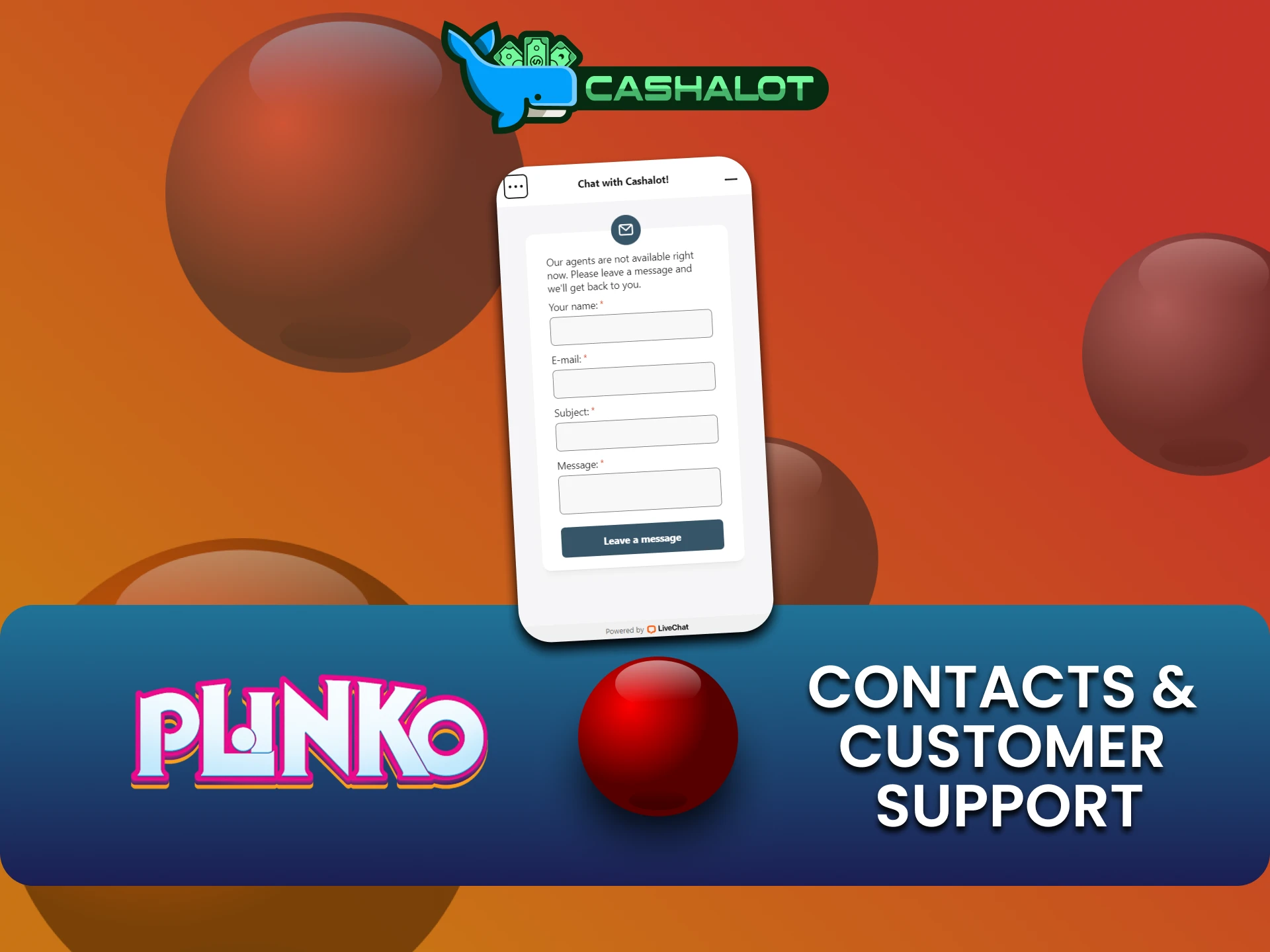 Cashalot टीम से संपर्क करने के कई तरीके हैं।